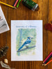 Blue Jay Anatomy Printable - Into the Deep