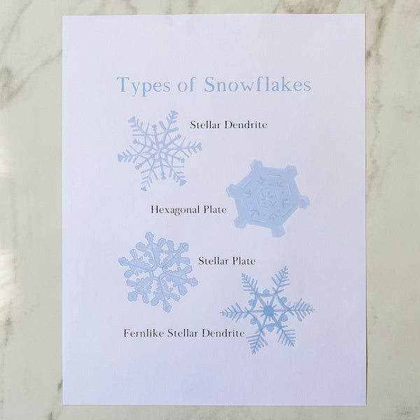 Types of Snowflakes Nature Study Printable - Into the Deep