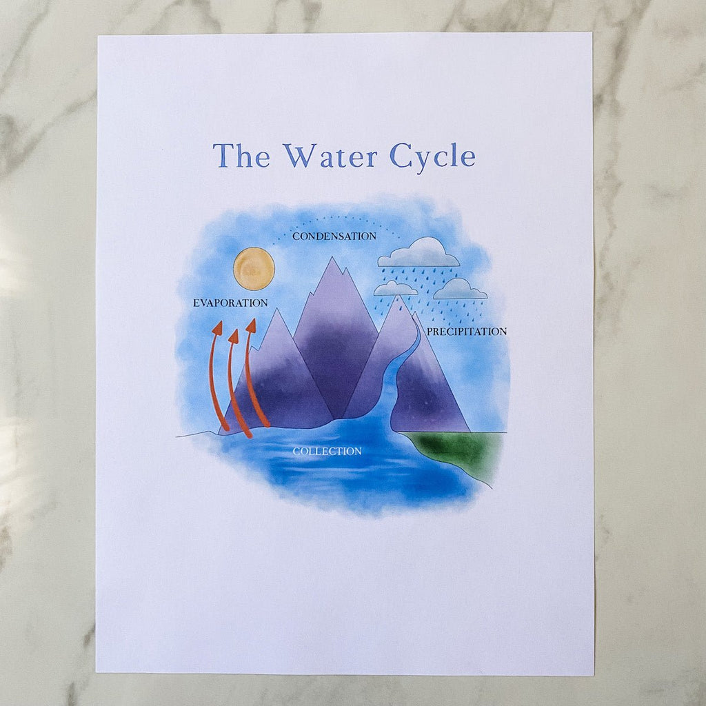 Water Cycle Nature Study Printable - Into the Deep