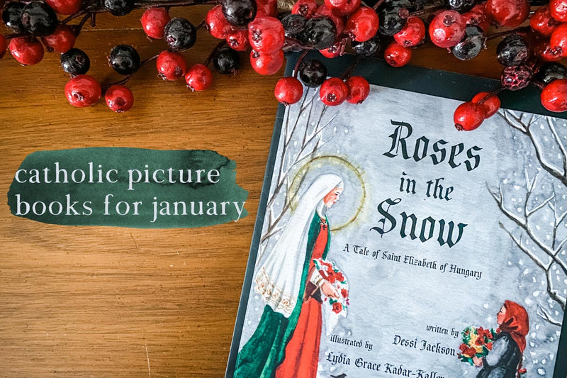 Catholic Picture Books for January - Into the Deep