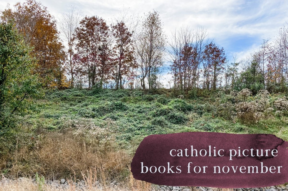 Catholic Picture Books for November - Into the Deep