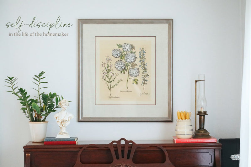 Self-Discipline in the Home + Homeschool - Into the Deep