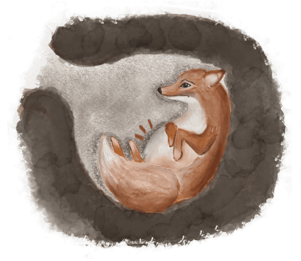 Why We Fast: A simple way to explain it to Kids (with the help of Aesop’s “The Swollen Fox”) - Into the Deep