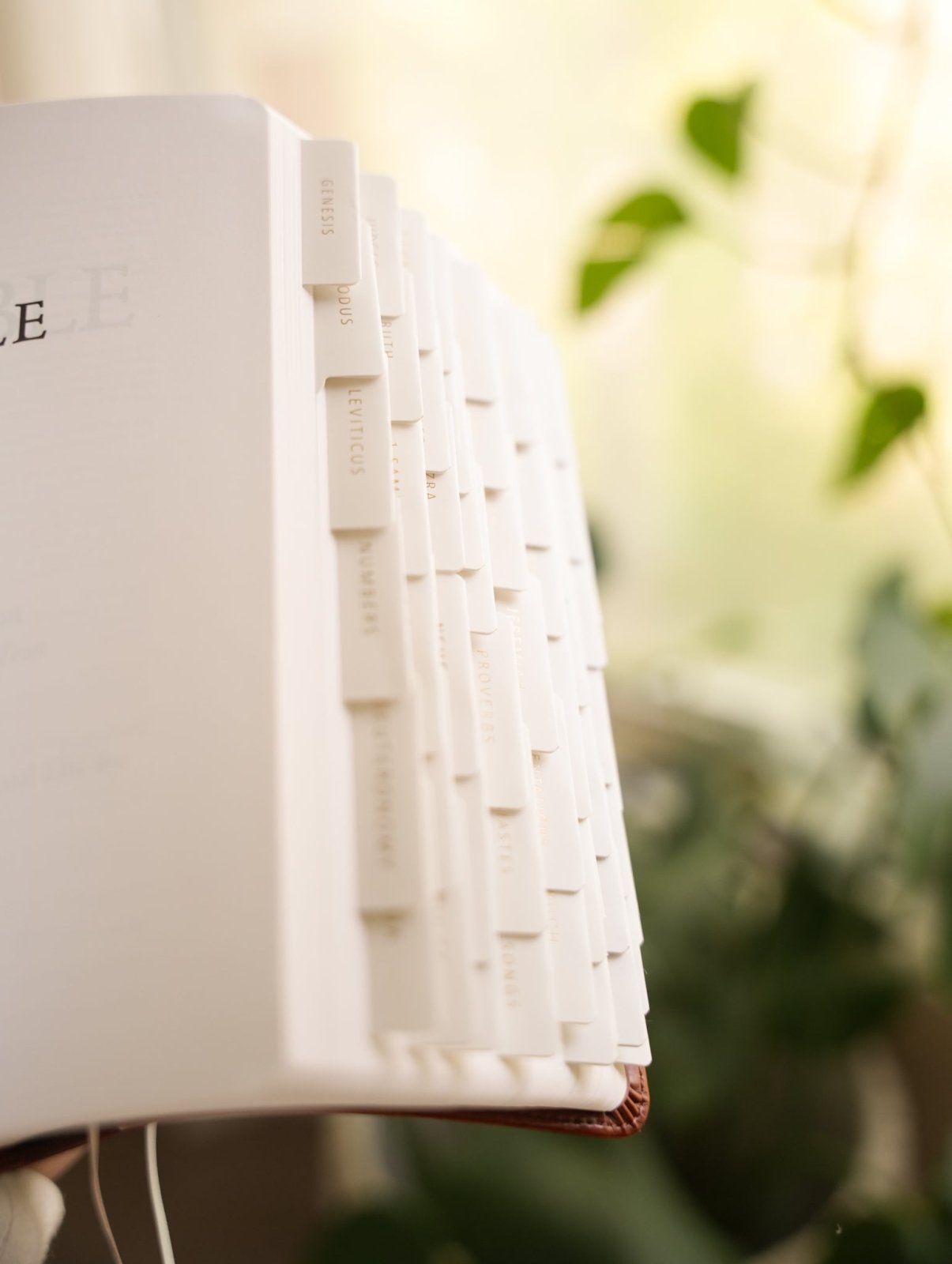 Catholic Bible Tabs - Into the Deep