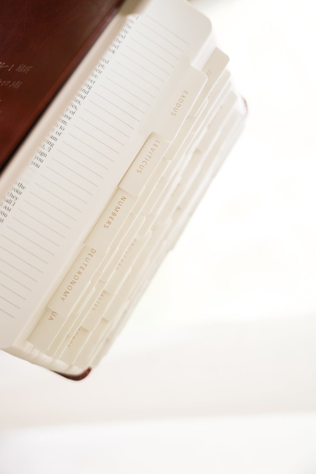 Catholic Bible Tabs - Into the Deep