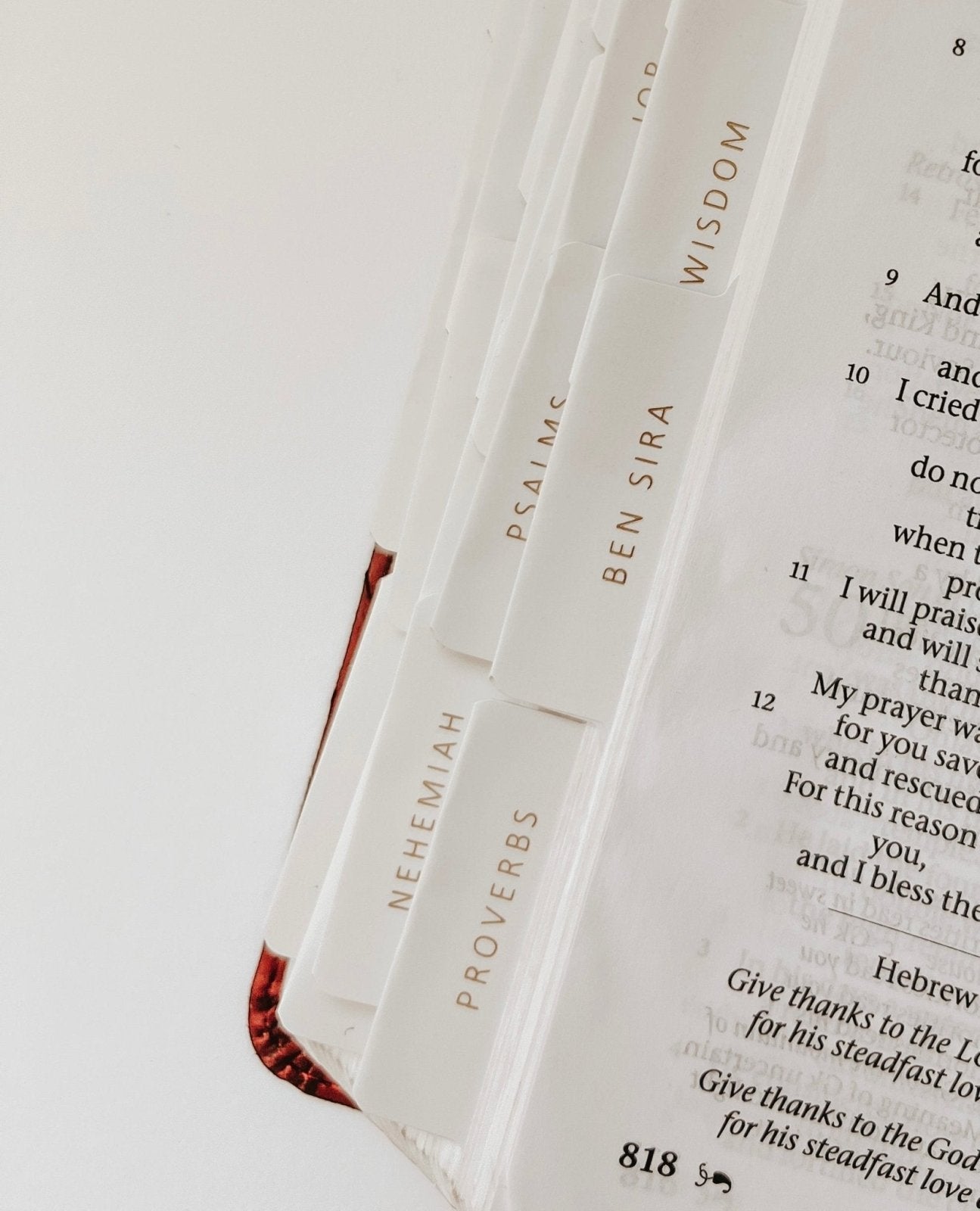 Catholic Bible Tabs - Into the Deep