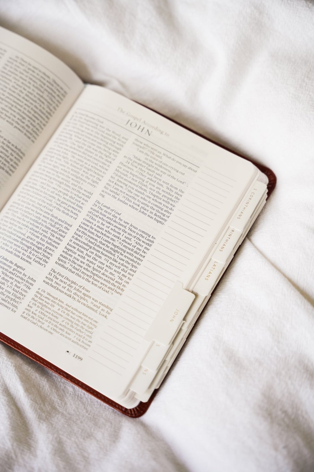 Catholic Bible Tabs - Into the Deep