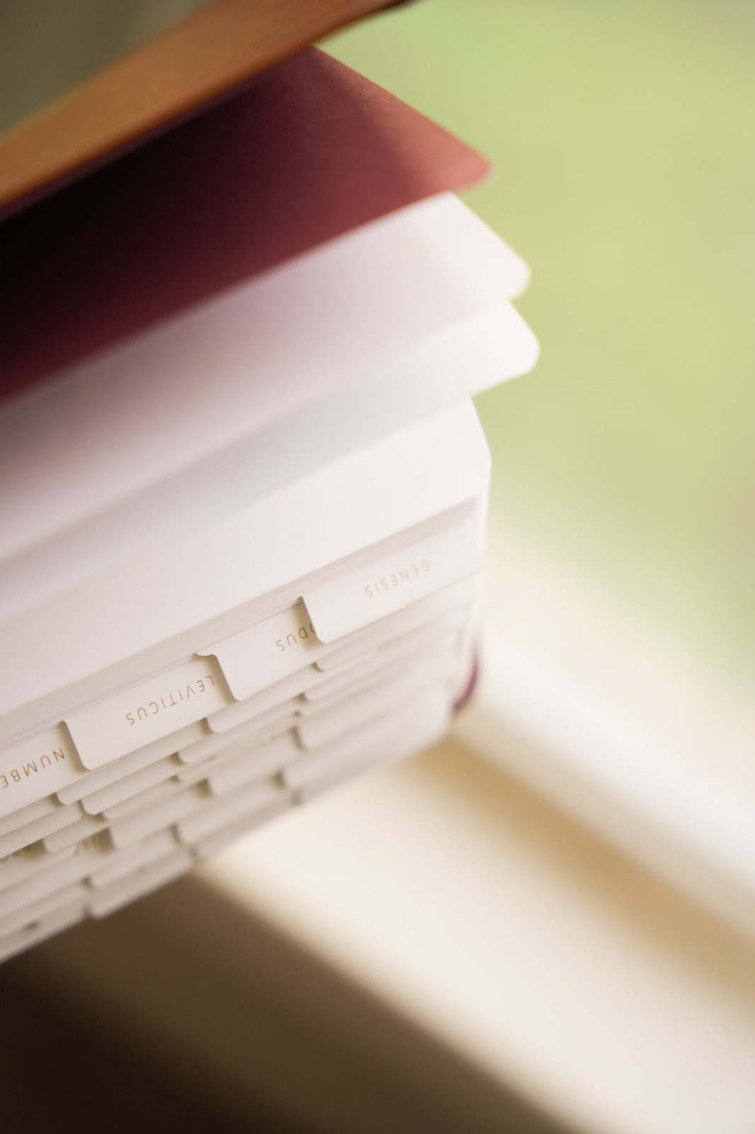 Catholic Bible Tabs - Into the Deep