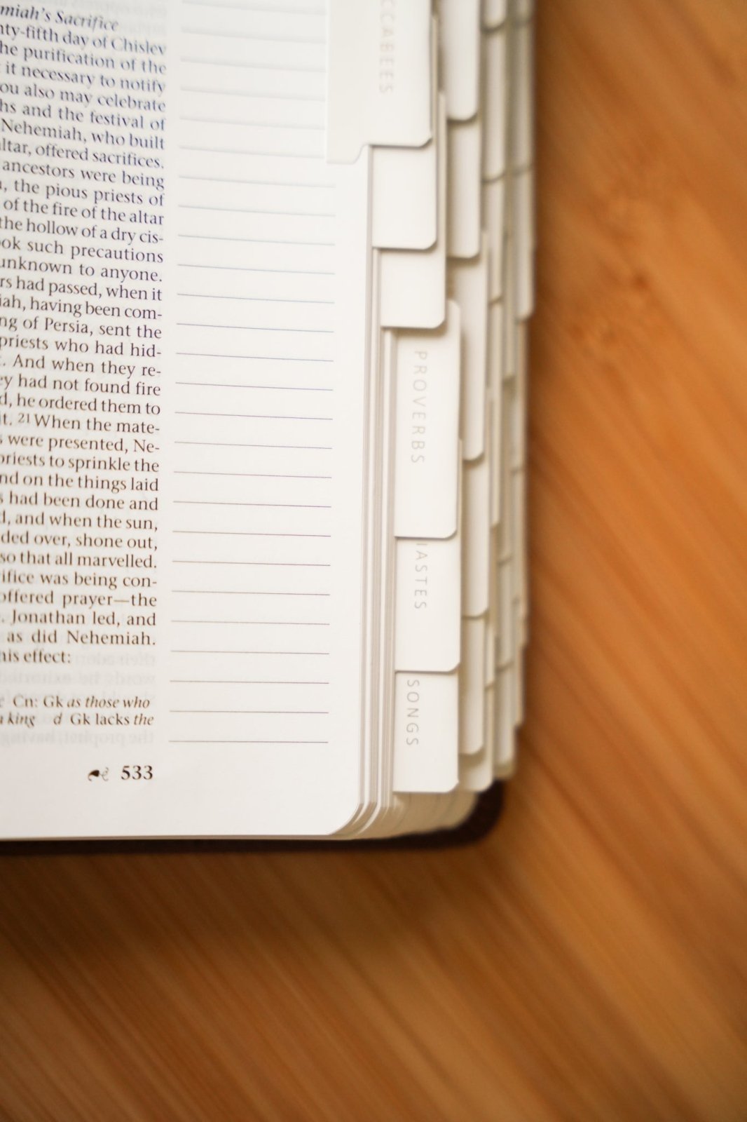 Catholic Bible Tabs - Into the Deep