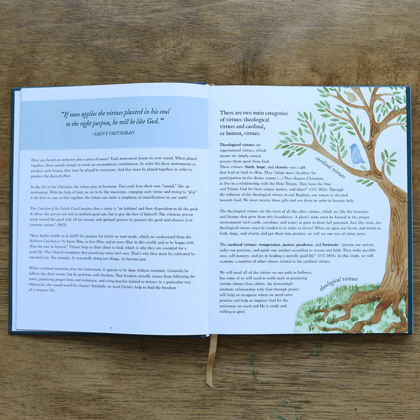 Catholic Virtues Study - Into the Deep