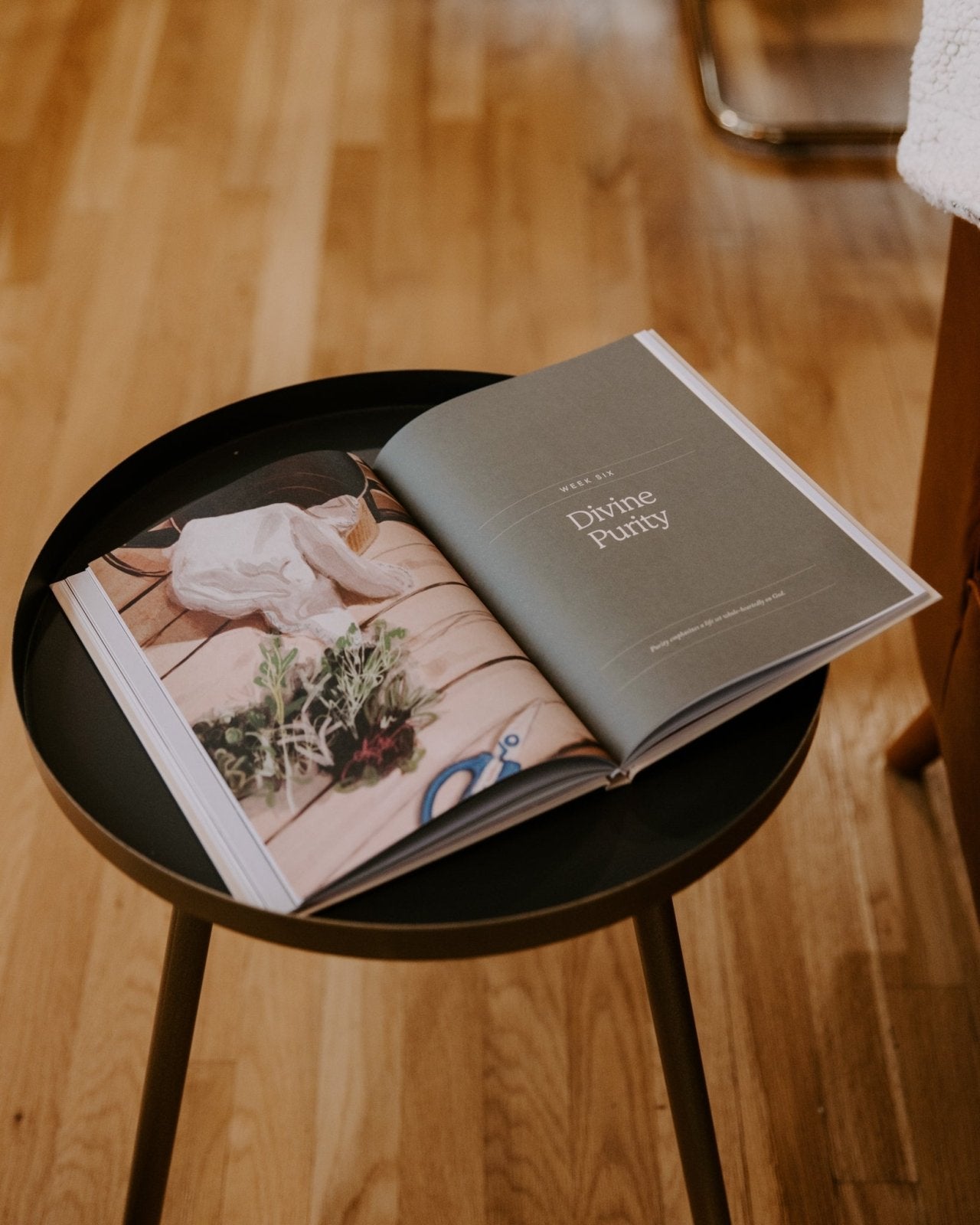 Home // Blessed Conversations Catholic Study on the Virtues of Mary - Into the Deep