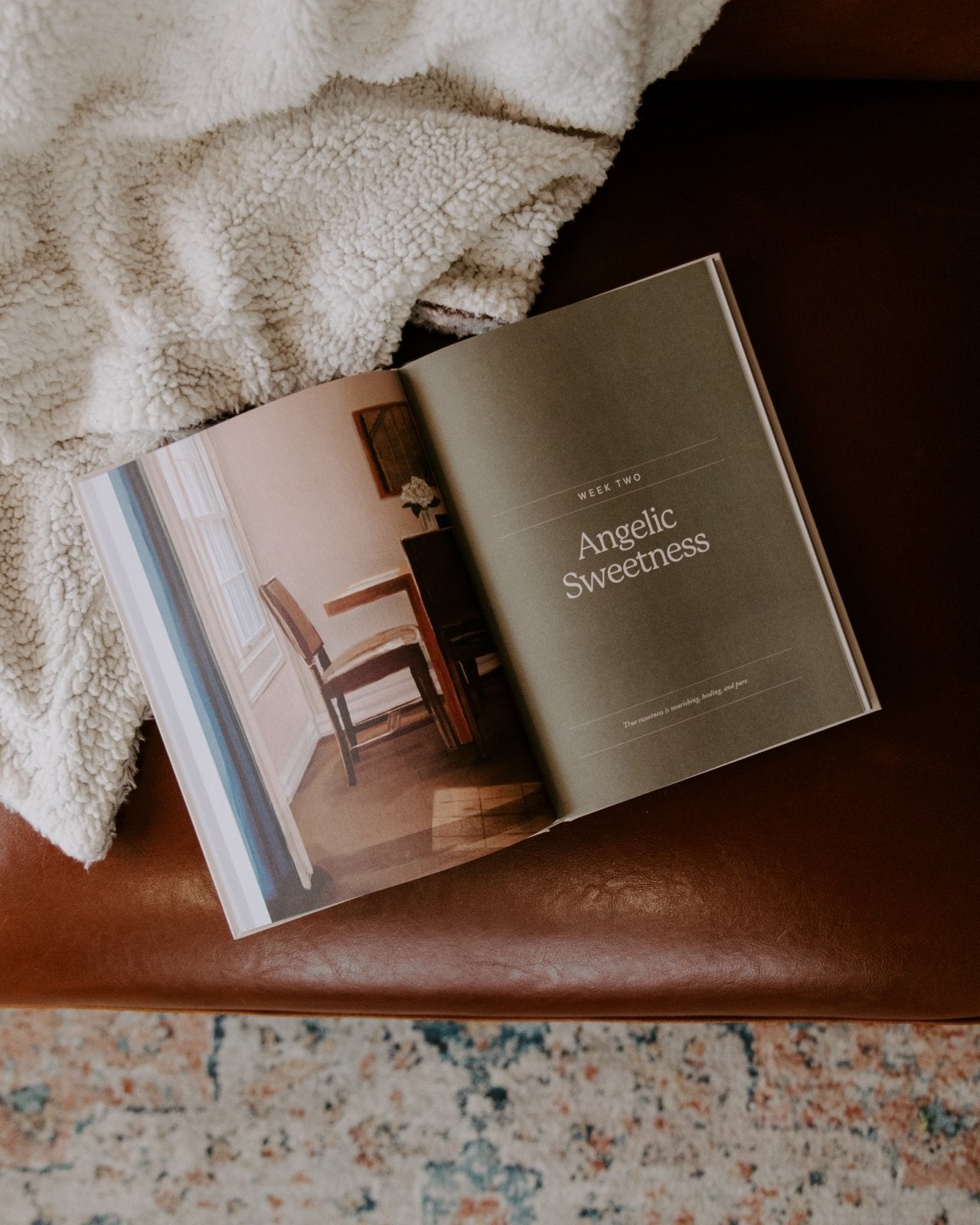 Home // Blessed Conversations Catholic Study on the Virtues of Mary - Into the Deep