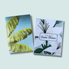 Lent & Easter Bundle - Into the Deep