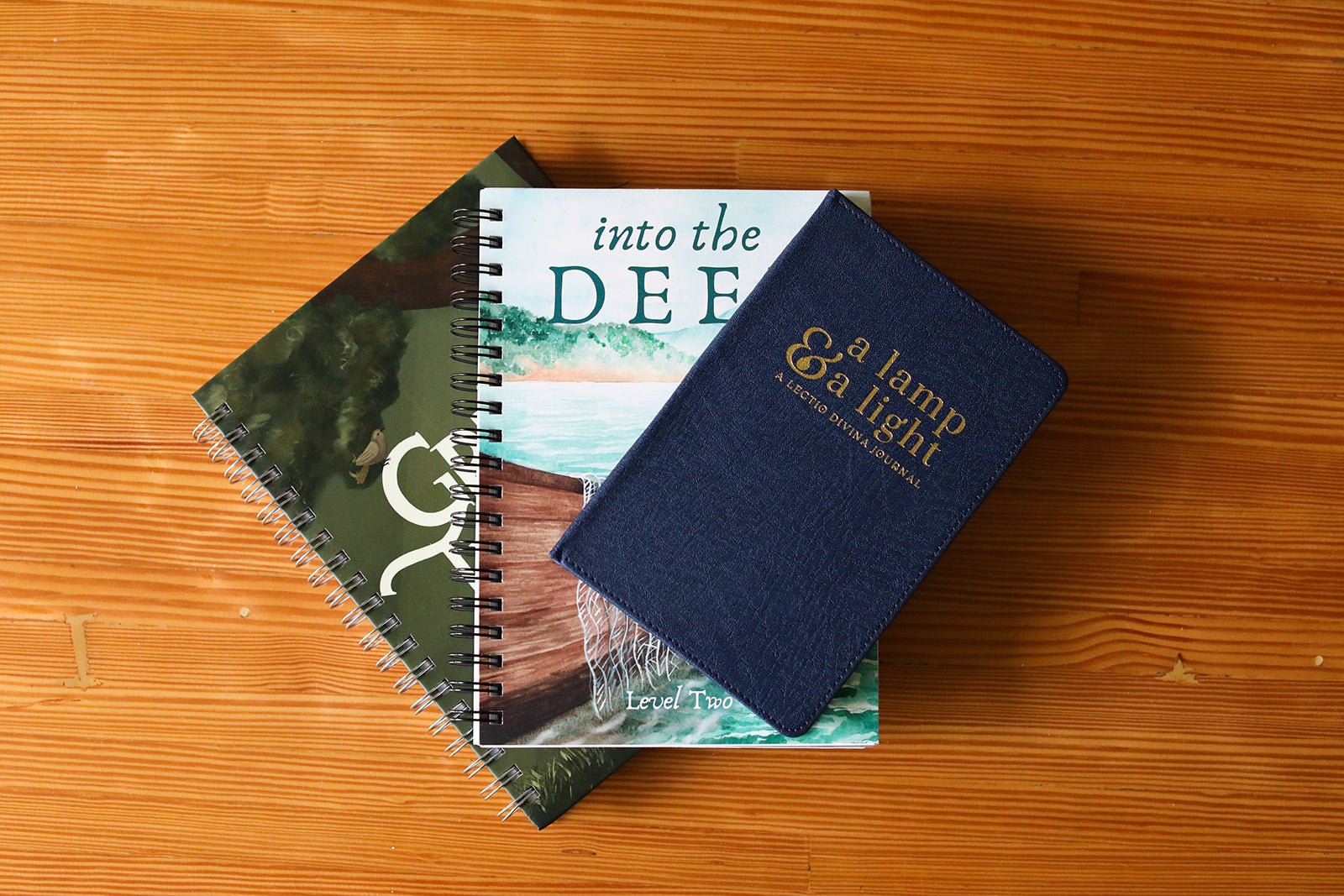 Level Two Bundle - Into the Deep