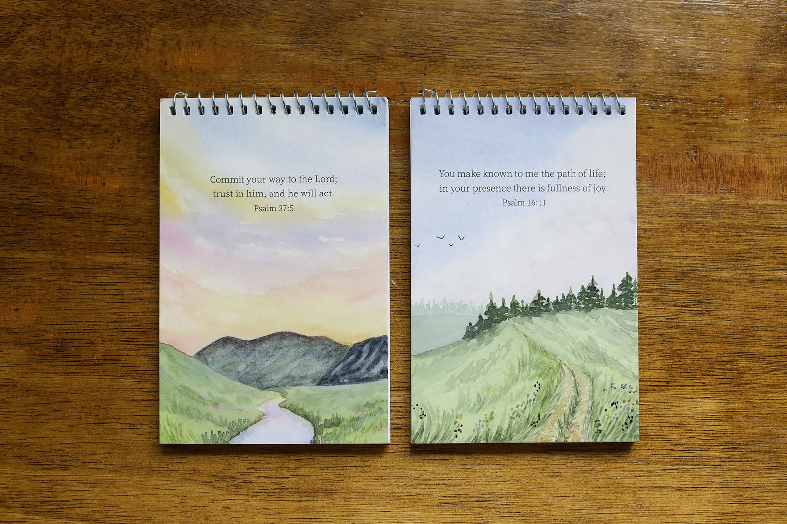 Narration Notebook - Into the Deep