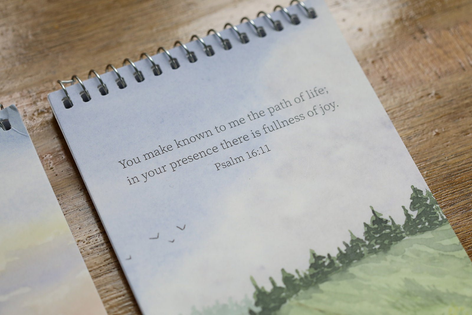 Narration Notebook - Into the Deep