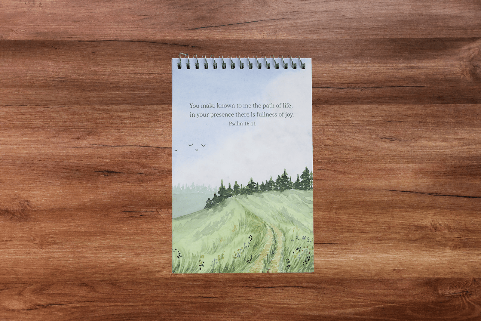 Narration Notebook - Into the Deep