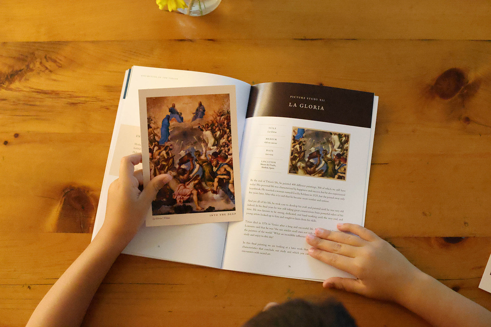 PREORDER Titian | Catholic Artist Study
