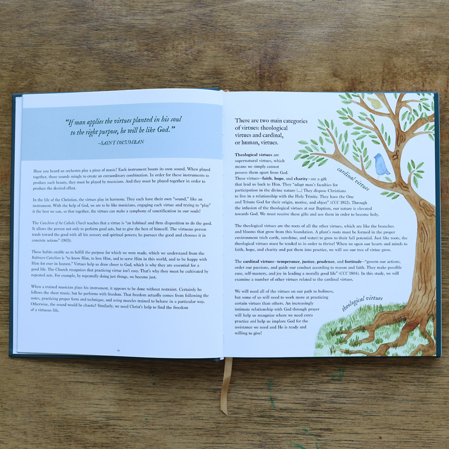 Catholic Virtues Study