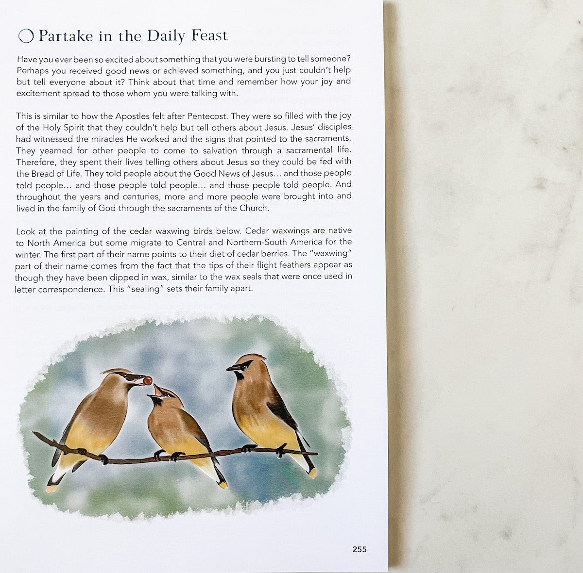 Level Two [Imperfect] - Into the Deep