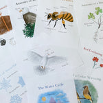Level Two Nature Study Anatomy Printable Pack - Into the Deep