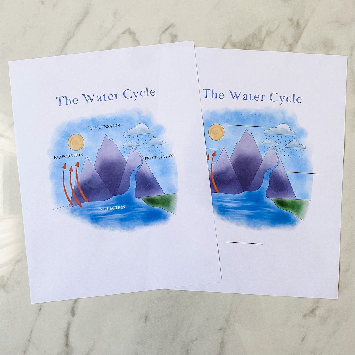 Level Two Nature Study Anatomy Printable Pack - Into the Deep