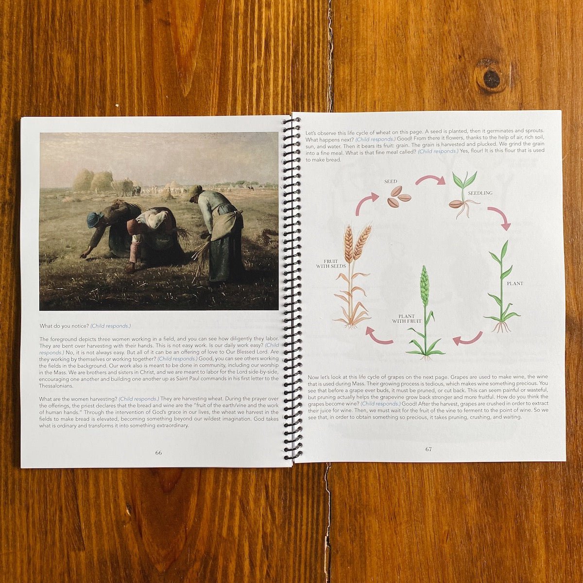 The Mass Unit Study - Into the Deep