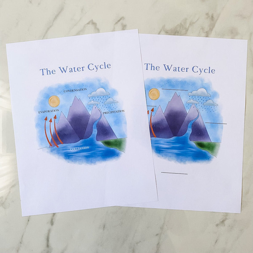 Water Cycle Nature Study Printable - Into the Deep