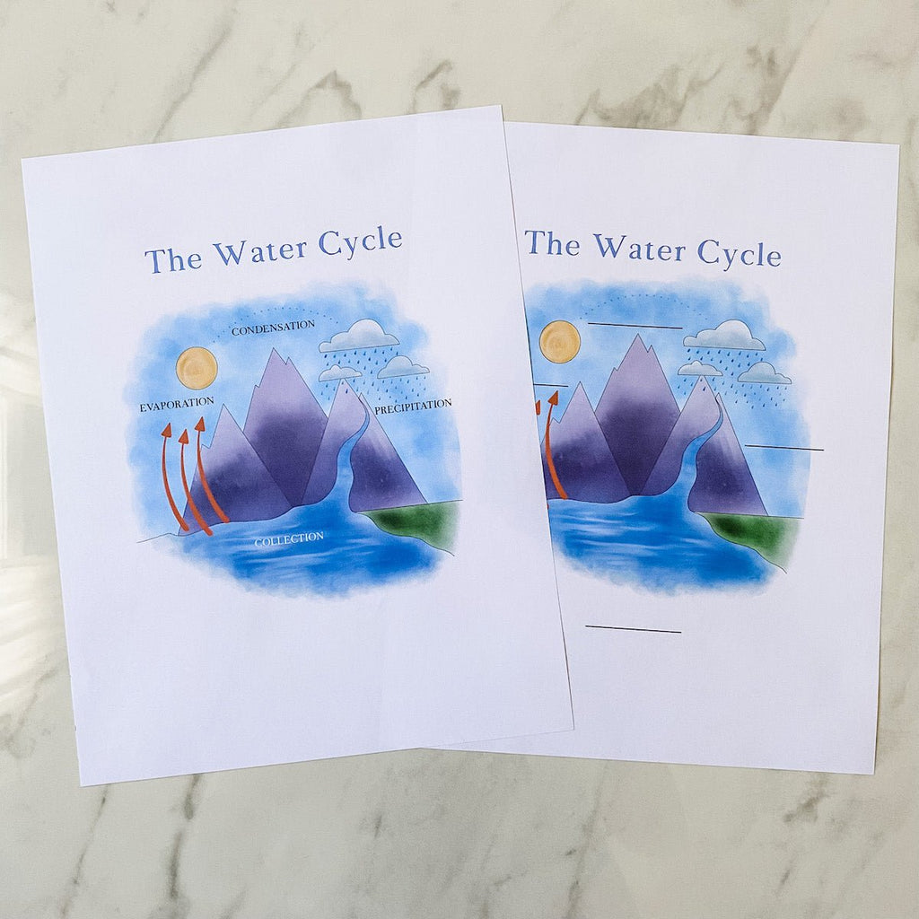 First Collection Water Collection Water Cycle